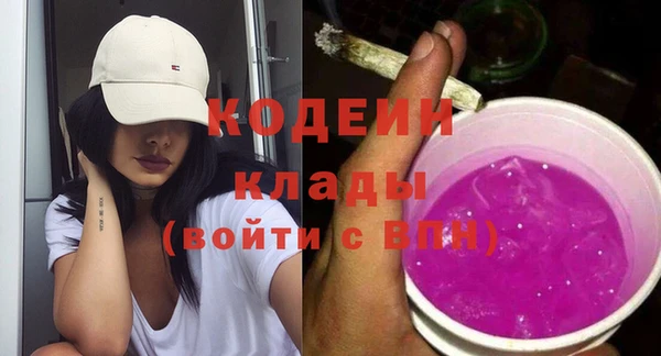 ECSTASY Лагань