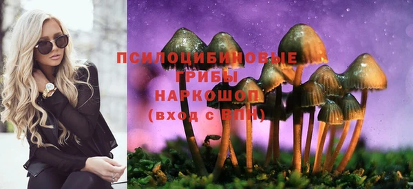 тгк Семикаракорск