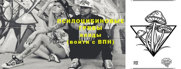 прущий лед Липки