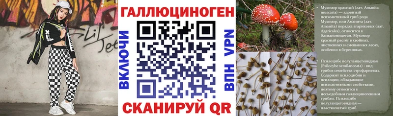 Псилоцибиновые грибы Cubensis  Новошахтинск 
